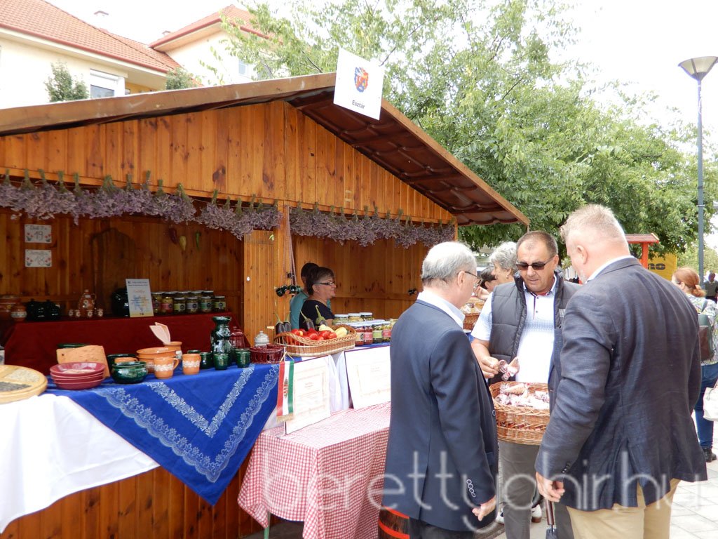 Helyi Értékek Startja 100